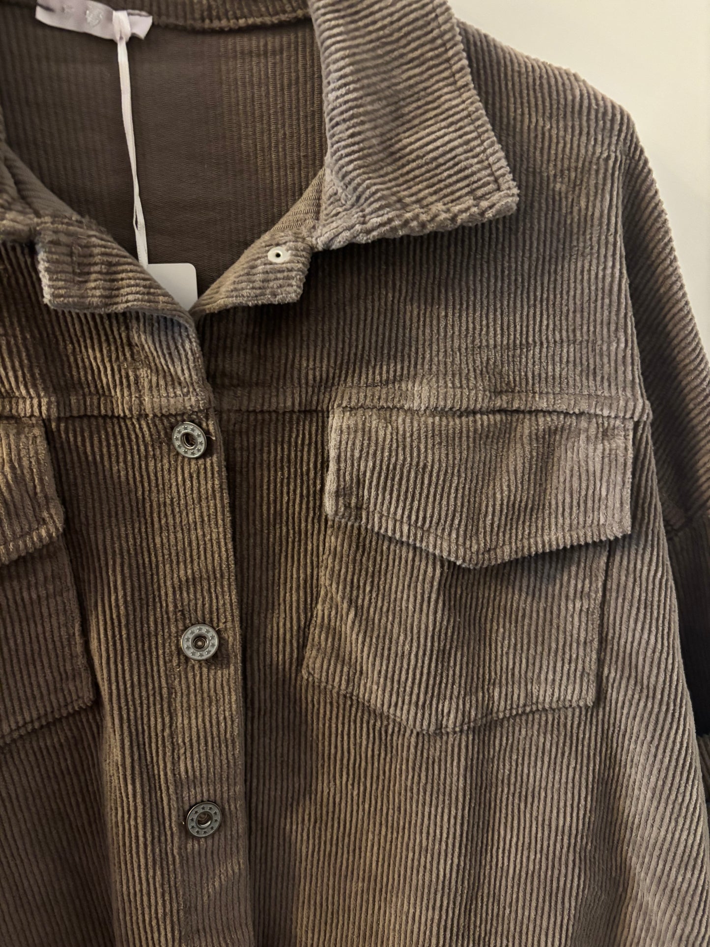 Cropped Cord Jacket with Buttons in Taupe